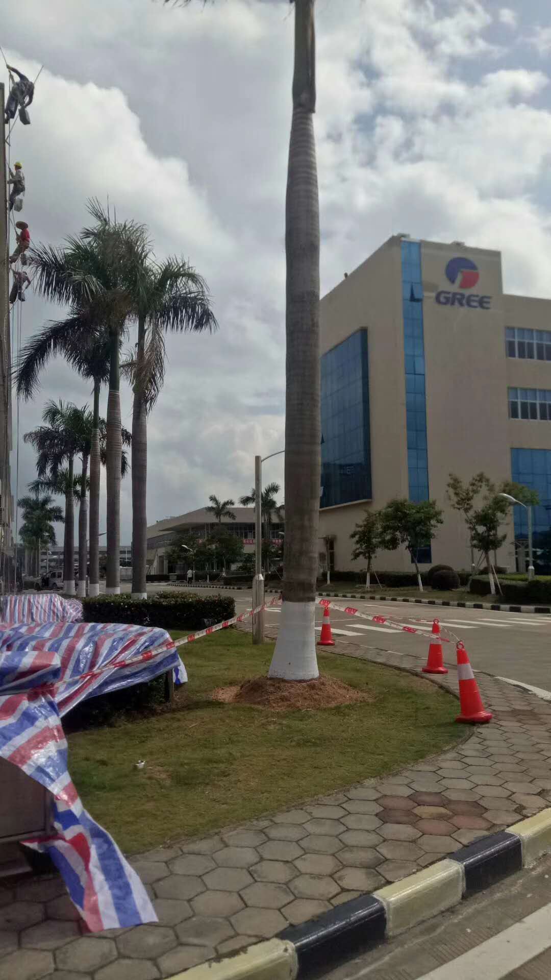 珠海办公大楼杀虫 灭鼠 除四害 消杀公司