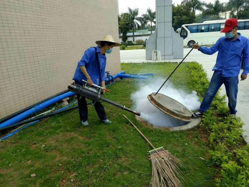 深圳杀虫灭鼠