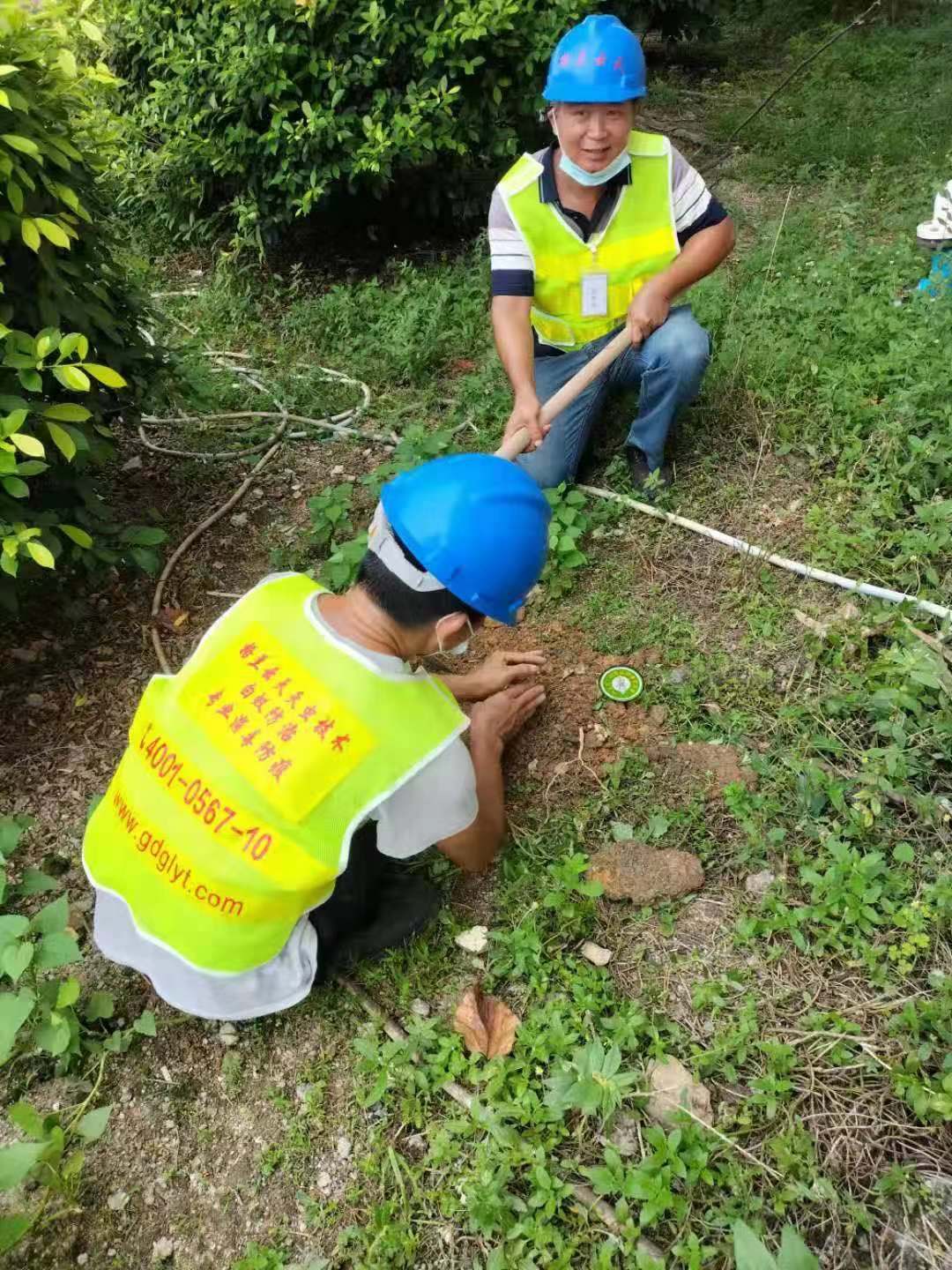 发现白蚁后应该注意些什么 不同情况下要如何进行白蚁防治(图1)