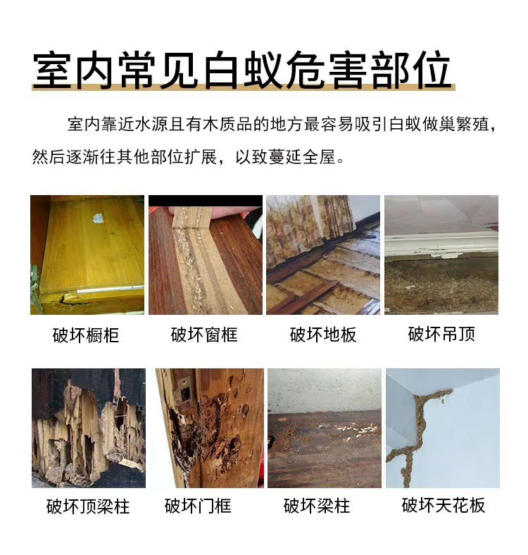 珠海防蟑螂～珠海防臭虫公司～珠海酒店灭杀蟑螂～珠海除四害(图1)