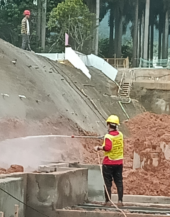 珠海白蚁的防治 珠海白蚁预防公司 珠海灭杀白蚁公司-珠海格兰云天清洁灭虫技术有限公司