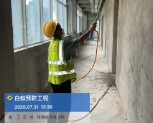 香洲区白蚁防治中心,金湾区灭白蚂蚁公司,