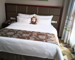 柠溪酒店消杀 柠溪酒店除四害 柠溪酒店除