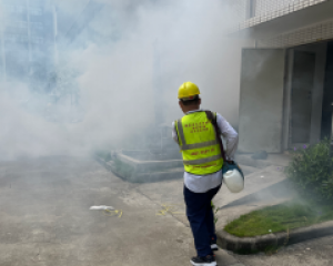 珠海白蚁防治 珠海白蚁预防公司 珠海消杀