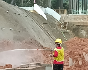 珠海白蚁的防治 珠海白蚁预防公司 珠海灭