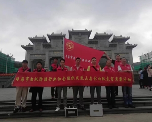 珠海白蚁防治 专注白蚁消杀，香洲灭白蚁，