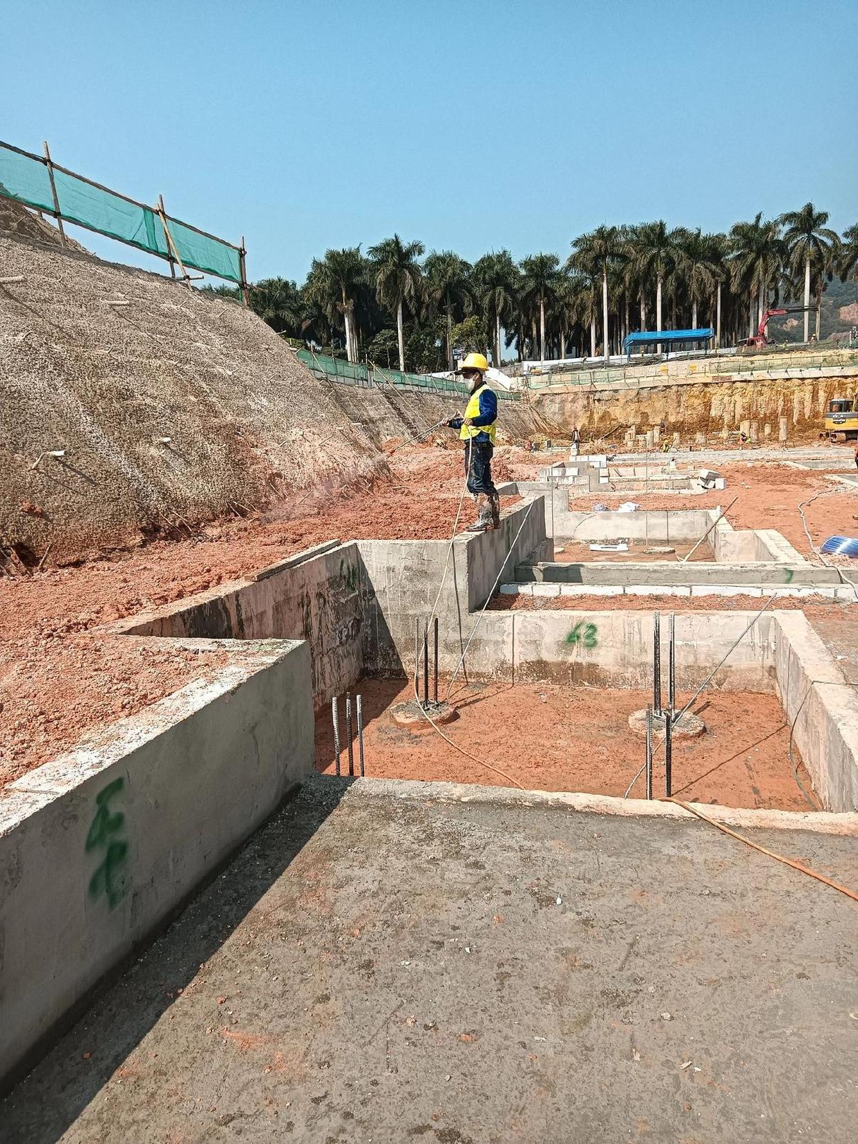 珠海白蚁防治公司 珠海白蚁防治公司