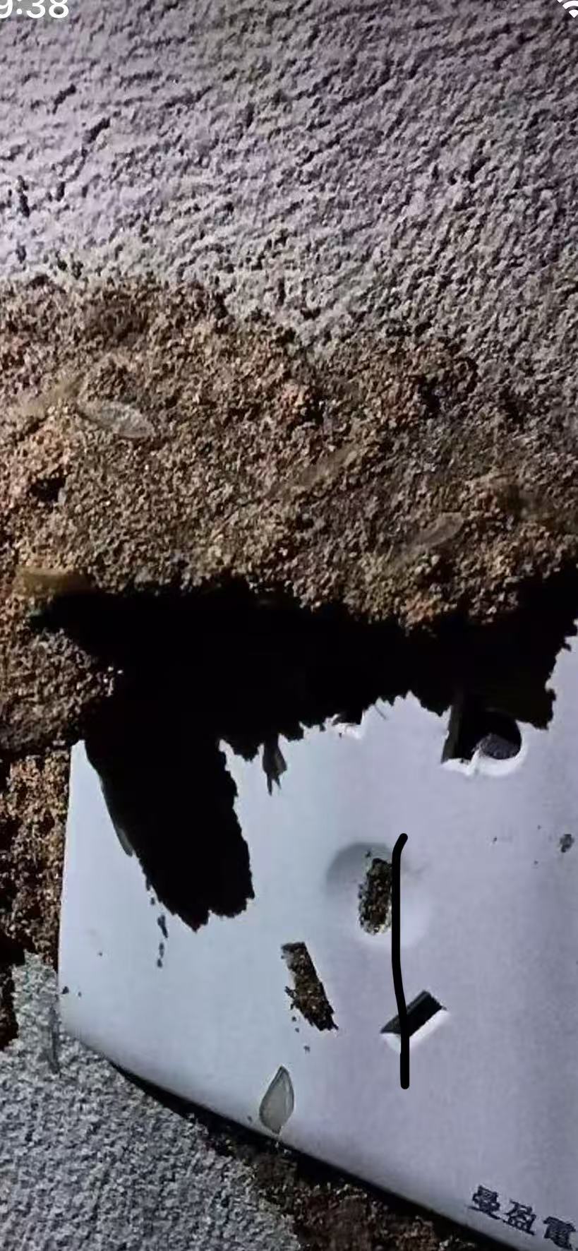 珠海白蚁危害电缆 珠海白蚁危害电缆