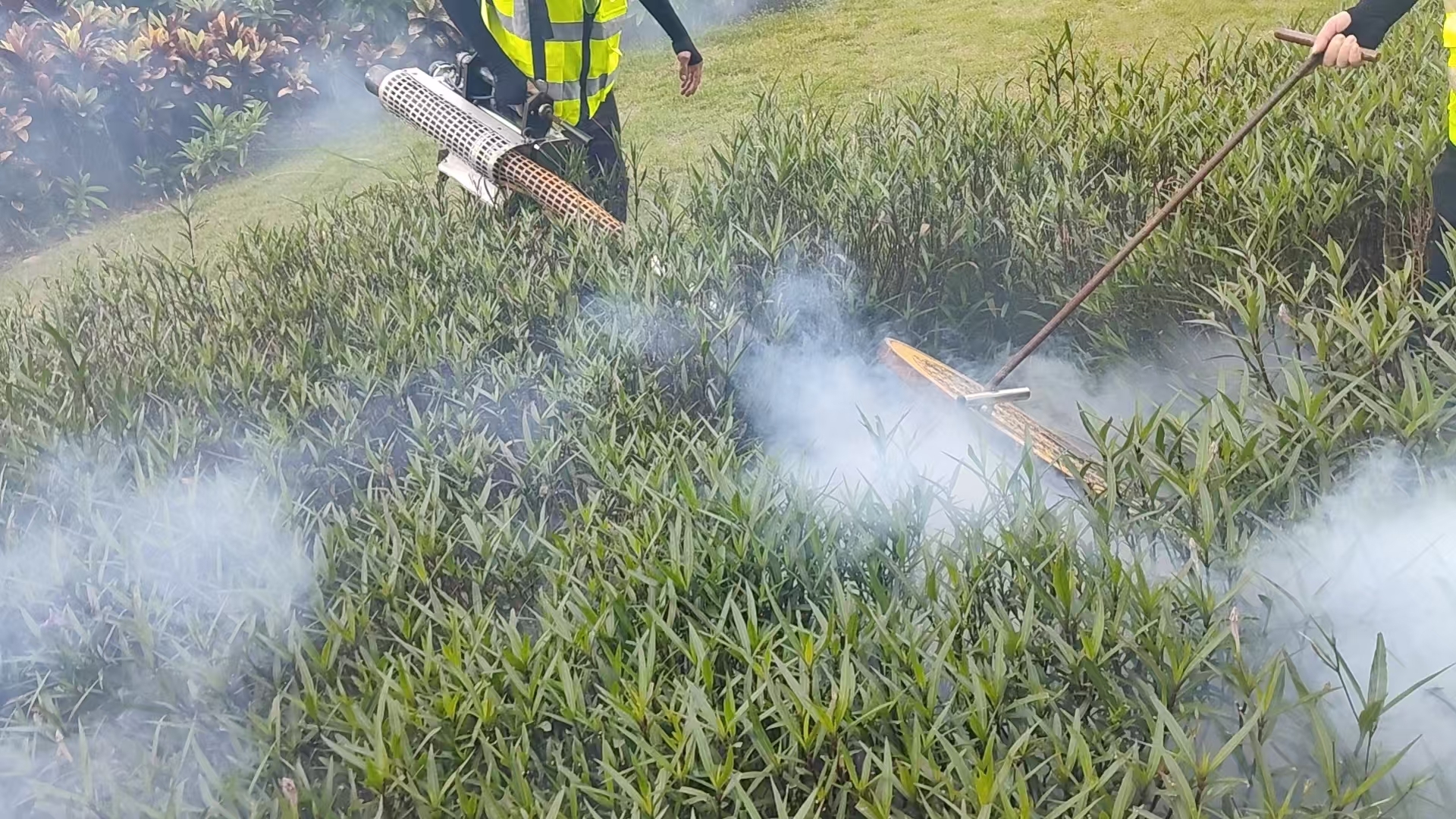 微信图片_20260910014650_78_27.jpg