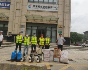 珠海家庭的白蚁防治方法 珠海怎样防治白蚁