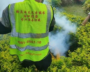 珠海专业消杀团队，给珠海市民创造舒适的环