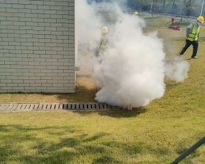 珠海白蚁防治机构如何选择