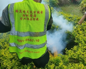 珠海街道全域高标准病媒生物防制实施方案